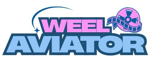 weelaviator logo