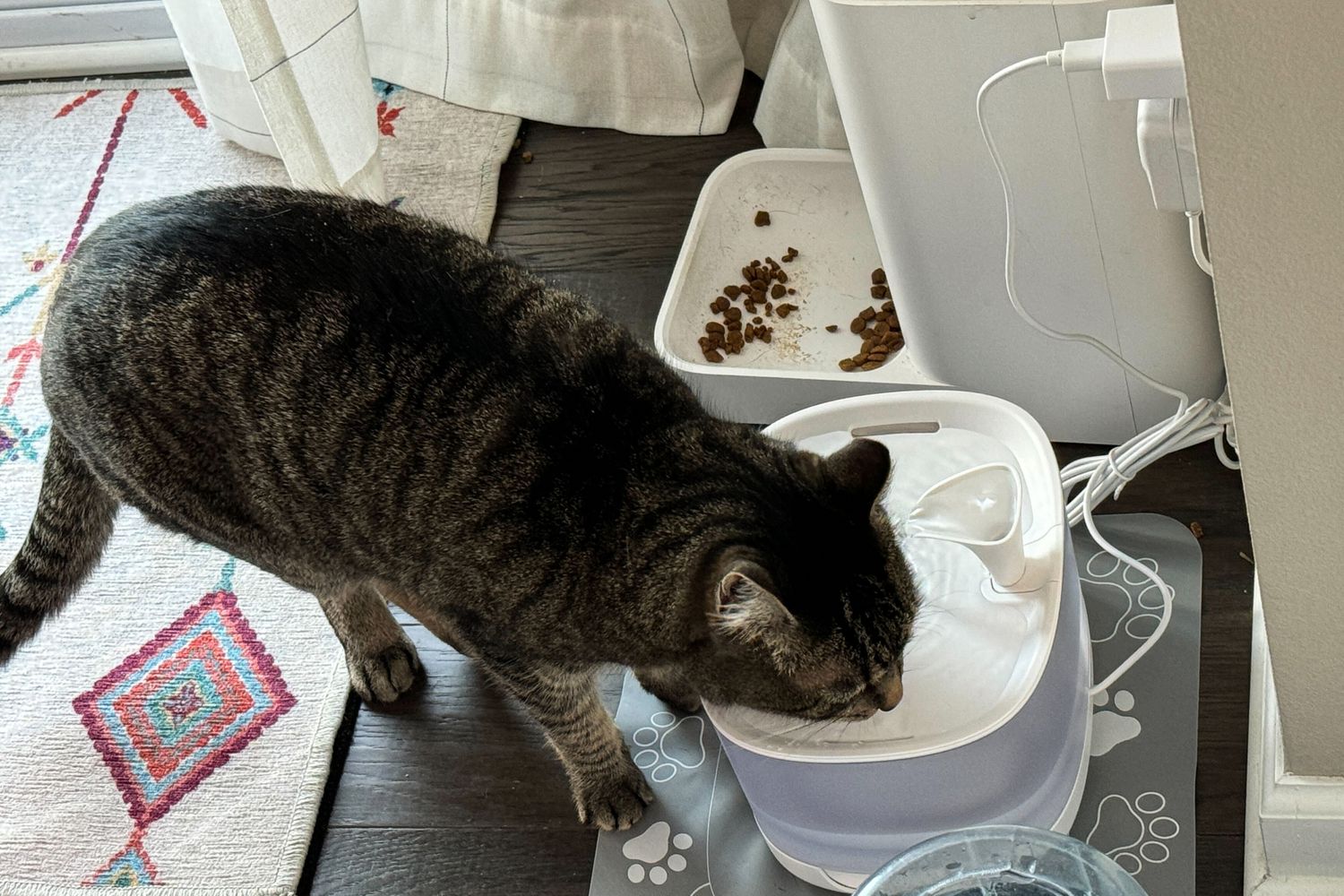 Cat Water Fountains.